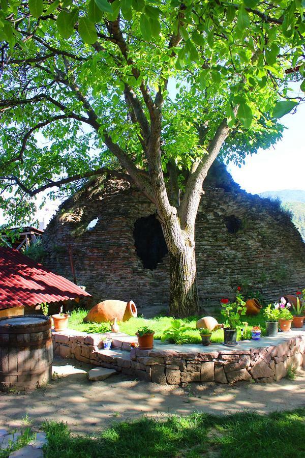 Hotel Beni Akhaltsikhe  Exteriör bild